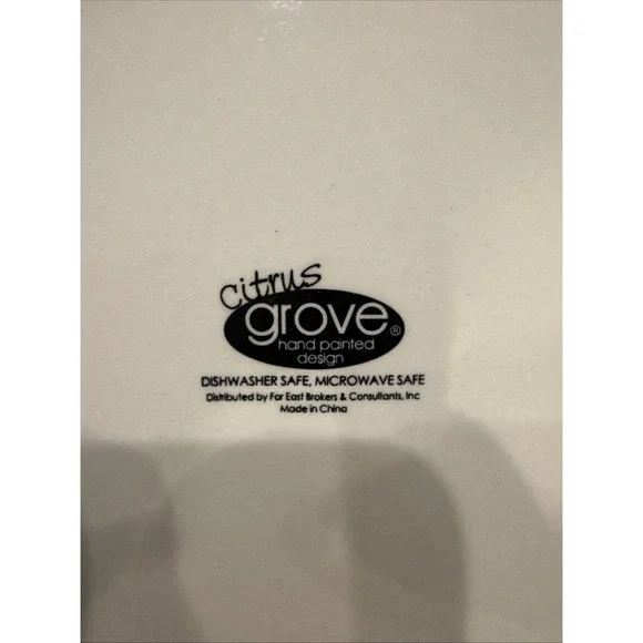 CITRUS GROVE 10-3/4"  Orange Swirl Dinner Plate - Picture 3 of 4